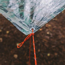 Ladda upp bild till gallerivisning, 550 Paracord - Megafauna